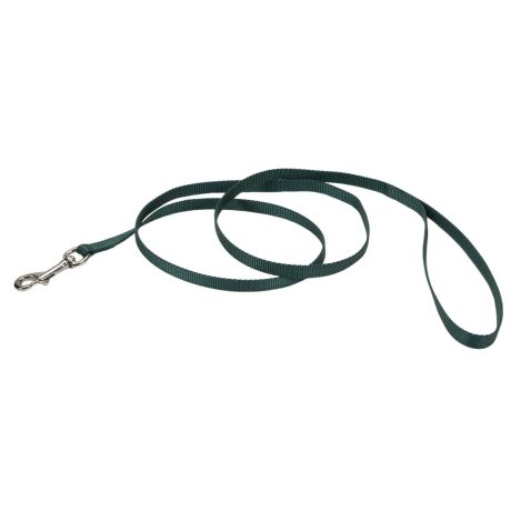 Coastal 5 and Dog Lead Hunter Green 4 Feet Long 5 8 Wide