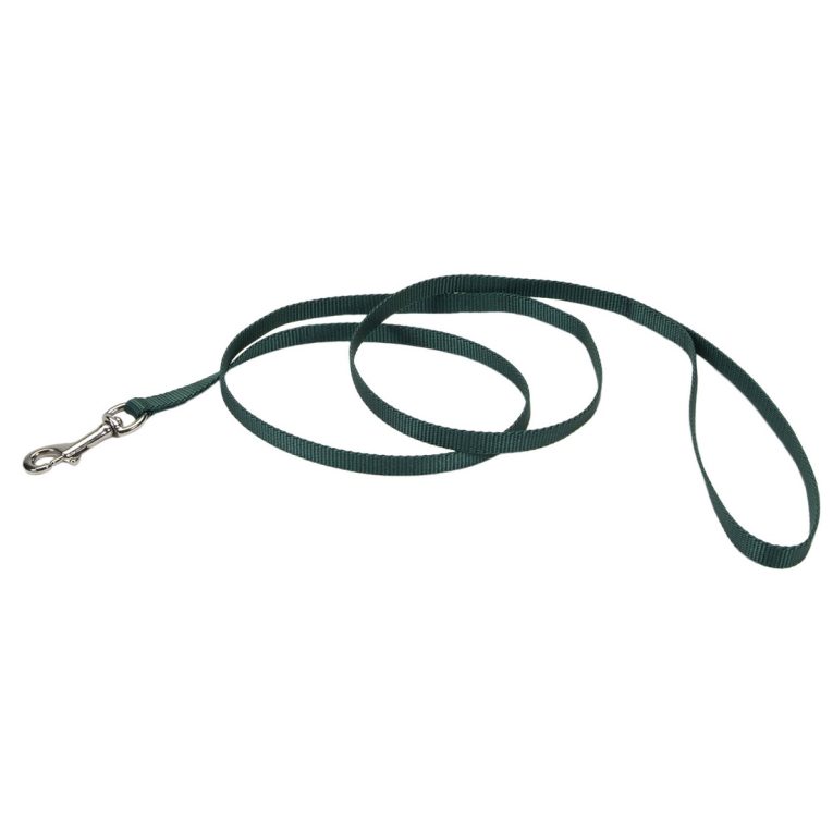 coastal-5-and-dog-lead-hunter-green-4-feet-long-5-8-wide