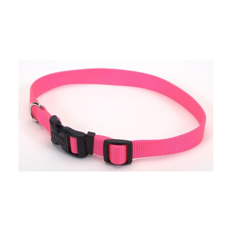 coastal-5-and-tuff-dog-collar-small-medium-neon-pink