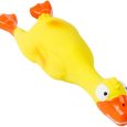 crinkle-big-feet-assorted-design-1pc