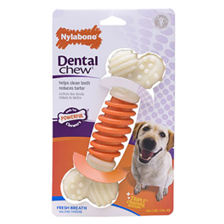 Nylabone Dental Pro Action Chew - Bacon (Large)