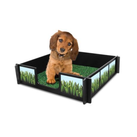 Dry Mate Potty Rink 64 X 64 Inches Potty Rink With Accessories And A Free Mat