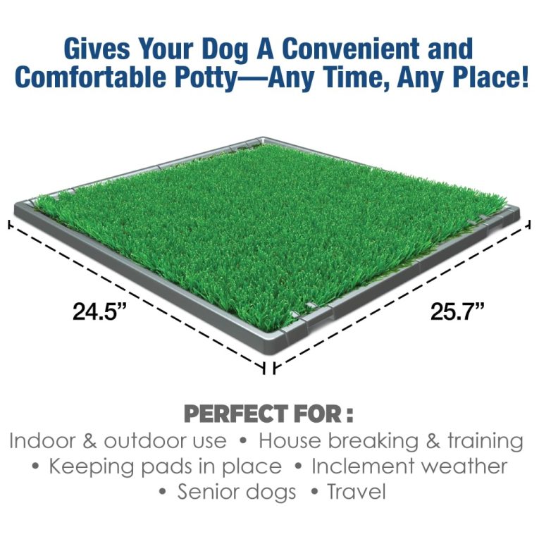 four-paws-wee-wee-potty-patch-set-4