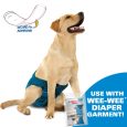 four-paws-wee-wee-wetness-indicator-diaper-super-absorbent-liners-10-pack-275-x-825-x-45 (4)