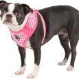 frontier-superior-harness-pink-medium-2