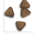 image (1)