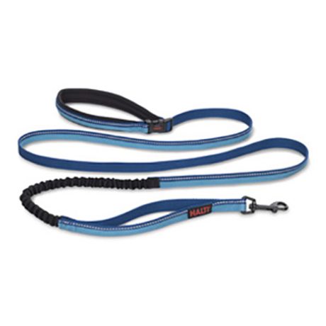 Coa Ha016 Halti All-in-one Lead Blue Small