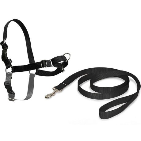 Pet Safe Easy Walk Harness (Small, Black) Easy Walk Harness