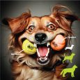 nutrapet-nutz-tennis-balls-2-non-squeaker-1-squeaker-medium-25in (2)