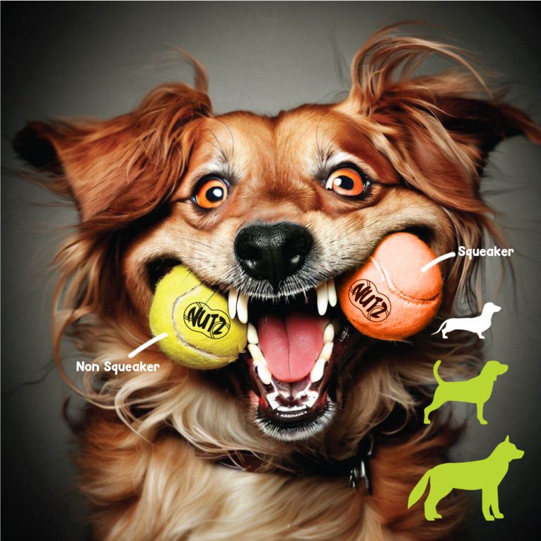 nutrapet-nutz-tennis-balls-2-non-squeaker-1-squeaker-medium-25in (2)
