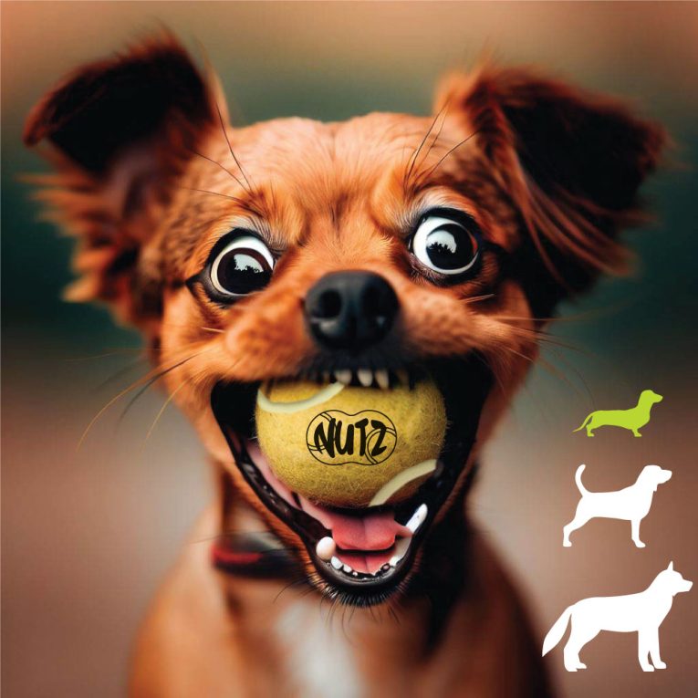 nutrapet-nutz-tennis-balls-2-non-squeaker-1-squeaker-small-175in (1)