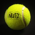 nutrapet-nutz-tennis-balls-2-non-squeaker-1-squeaker-small-175in (3)