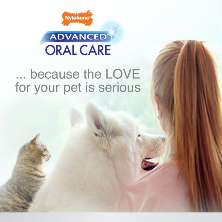 nylabone-advanced-oral-care-cat-dental-kit-one-size-dental-hygiene (3)