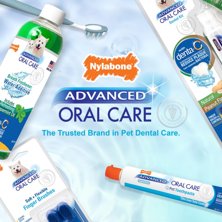nylabone-advanced-oral-care-cat-dental-kit-one-size-dental-hygiene (5)