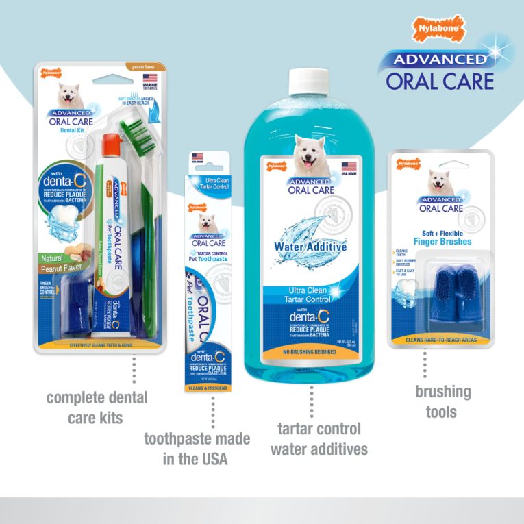 nylabone-advanced-oral-care-cat-dental-kit-one-size-dental-hygiene (6)