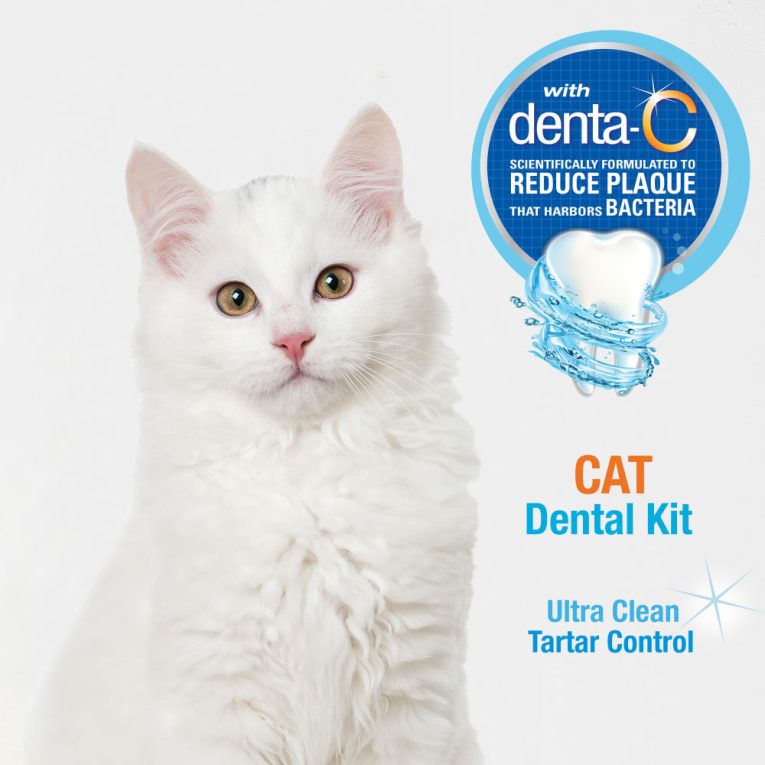nylabone-advanced-oral-care-cat-dental-kit-one-size-dental-hygiene (7)