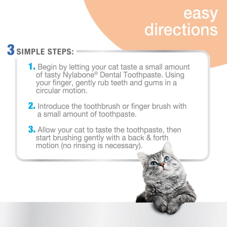 nylabone-advanced-oral-care-cat-dental-kit-one-size-dental-hygiene (8)