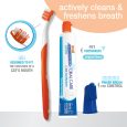 nylabone-advanced-oral-care-cat-dental-kit-one-size-dental-hygiene (9)