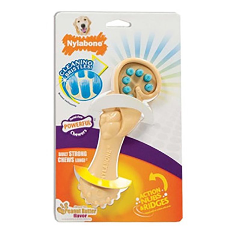 nylabone-dental-chew-squirrel-bristle-brush-large