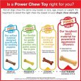 nylabone-dura-toy-zany-spinnerzblue-1