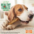 nylabone-healthy-edibles-longer-lasting-roast-beef-2ct-card-wolf-edible-treats (3)