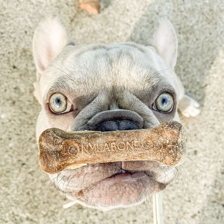 nylabone-healthy-edibles-longer-lasting-roast-beef-2ct-card-wolf-edible-treats (8)