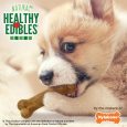 nylabone-healthy-edibles-puppy-starter-kit-bacon-roast-beef-turkey-apple-3ct-card-petite-edible (10)