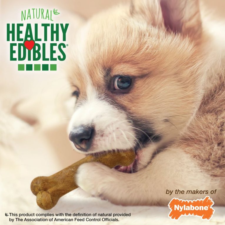 nylabone-healthy-edibles-puppy-starter-kit-bacon-roast-beef-turkey-apple-3ct-card-petite-edible (10)