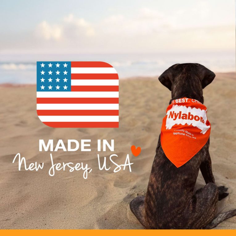 nylabone-healthy-edibles-puppy-starter-kit-bacon-roast-beef-turkey-apple-3ct-card-petite-edible (11)