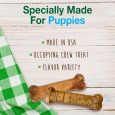 nylabone-healthy-edibles-puppy-starter-kit-bacon-roast-beef-turkey-apple-3ct-card-petite-edible (3)