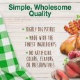 nylabone-healthy-edibles-puppy-starter-kit-bacon-roast-beef-turkey-apple-3ct-card-petite-edible (4)