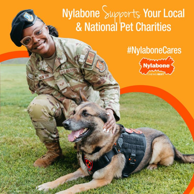nylabone-healthy-edibles-puppy-starter-kit-bacon-roast-beef-turkey-apple-3ct-card-petite-edible (8)