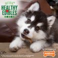 nylabone-healthy-edibles-wild-puppy-turkey-4ct-regular-edible-treats (7)