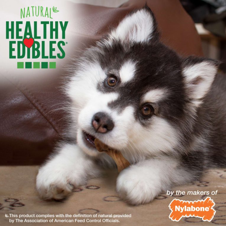 nylabone-healthy-edibles-wild-puppy-turkey-4ct-regular-edible-treats (7)