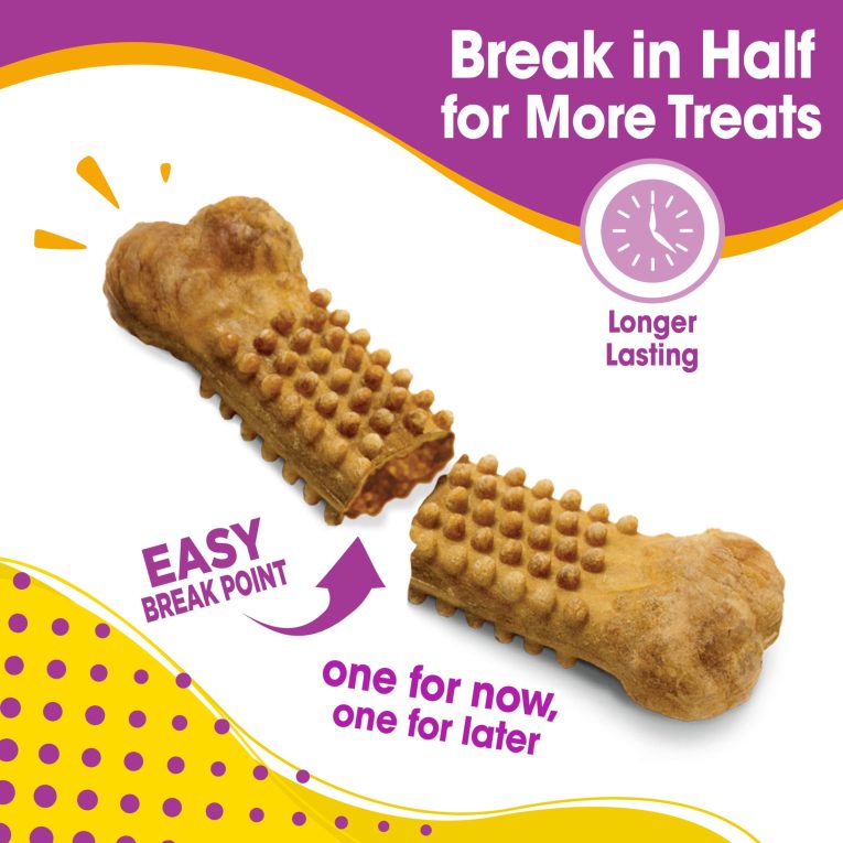 nylabone-nubz-bacon-2ct-card-in-shelf-tray-jumbo-edible-treats (7)