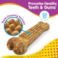 nylabone-nubz-bacon-2ct-card-in-shelf-tray-jumbo-edible-treats (9)