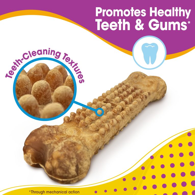 nylabone-nubz-bacon-2ct-card-in-shelf-tray-jumbo-edible-treats (9)