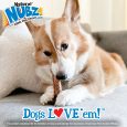 nylabone-nubz-beef-with-meaty-center-2ct-card-in-shelf-tray-april-2023-large-edible-treats (4)