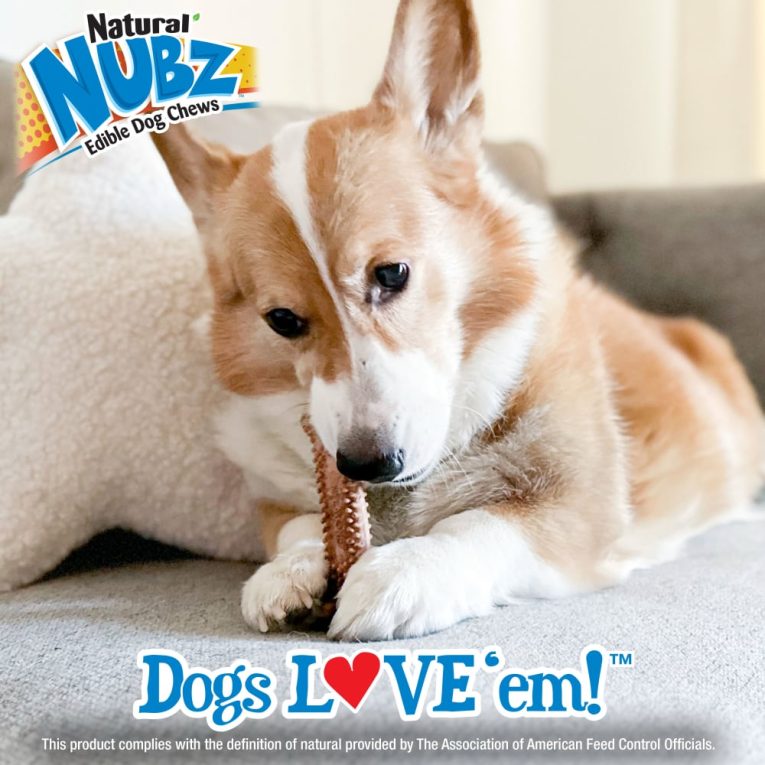nylabone-nubz-beef-with-meaty-center-2ct-card-in-shelf-tray-april-2023-large-edible-treats (4)