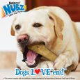 nylabone-nubz-chicken-1ct-card-in-shelf-tray-xl-edible-treats (4)