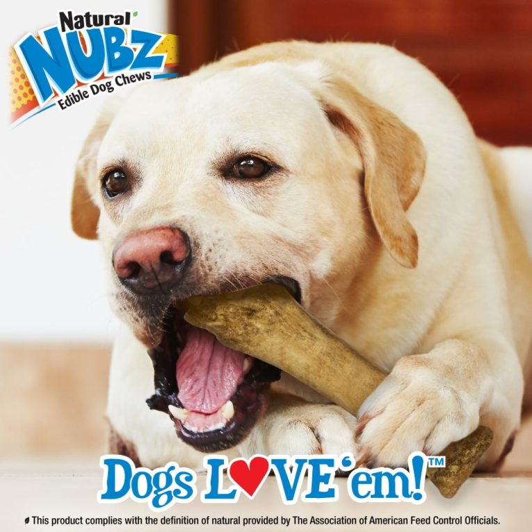 nylabone-nubz-chicken-1ct-card-in-shelf-tray-xl-edible-treats (4)