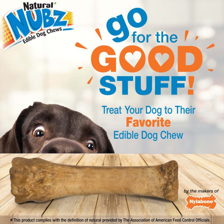 nylabone-nubz-chicken-1ct-card-in-shelf-tray-xl-edible-treats (6)