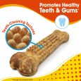 nylabone-nubz-chicken-2ct-card-in-shelf-tray-large-edible-treats (6)