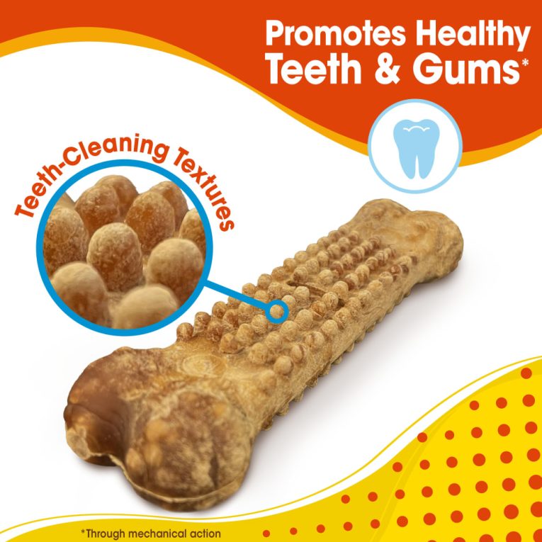 nylabone-nubz-chicken-2ct-card-in-shelf-tray-large-edible-treats (6)