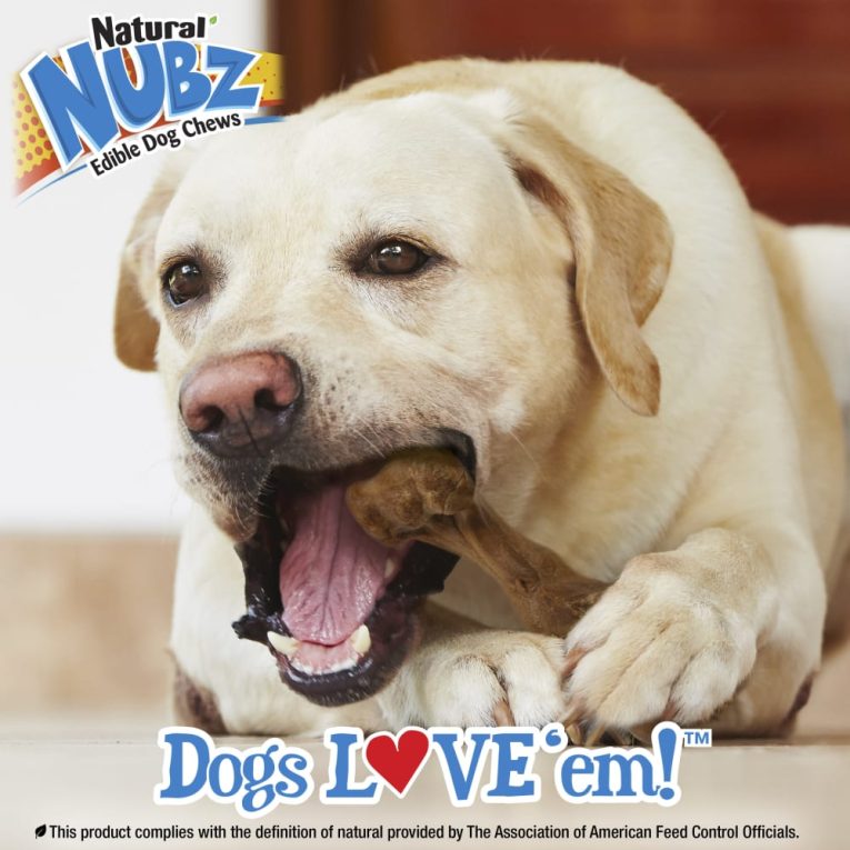 nylabone-nubz-ham-with-bone-broth-1ct-card-in-shelf-tray-giant-edible-treats (4)