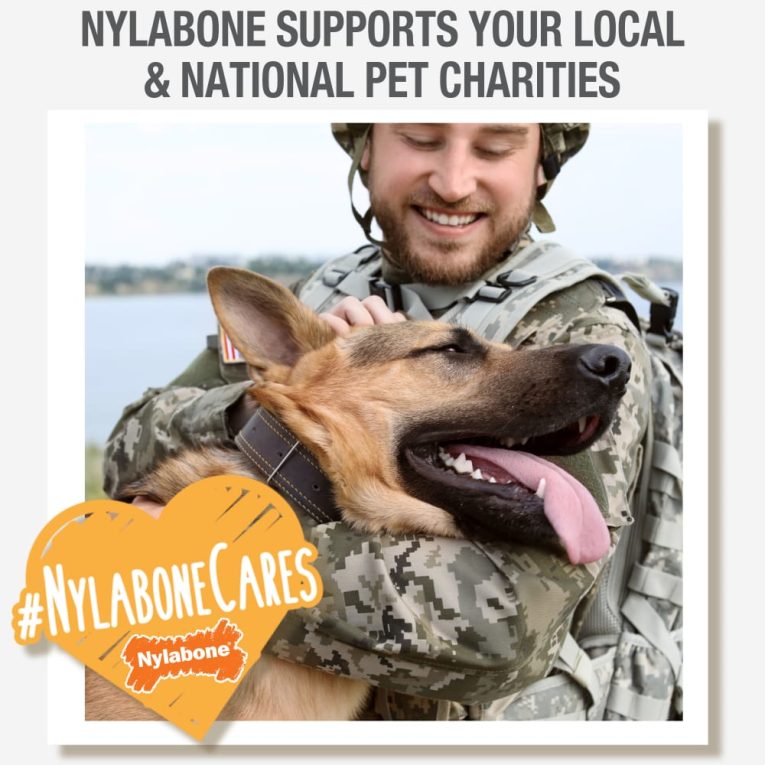 nylabone-nubz-ham-with-bone-broth-1ct-card-in-shelf-tray-giant-edible-treats (7)