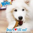 nylabone-nubz-peanut-butter-2ct-card-not-in-shelf-tray-grande-edible-treats (4)