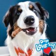 nylabone-nubz-peanut-butter-2ct-card-not-in-shelf-tray-grande-edible-treats (6)