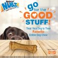 nylabone-nubz-peanut-butter-2ct-card-not-in-shelf-tray-grande-edible-treats (9)