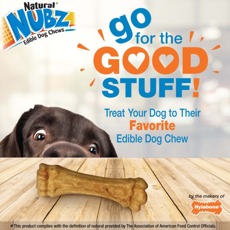 nylabone-nubz-peanut-butter-2ct-card-not-in-shelf-tray-grande-edible-treats (9)